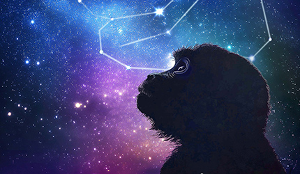 中国科学家联合发布介观脑图谱系列成果实现从啮齿类到灵长类大脑的跨越